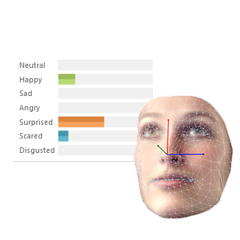 Face Classification - FaceReader Online
